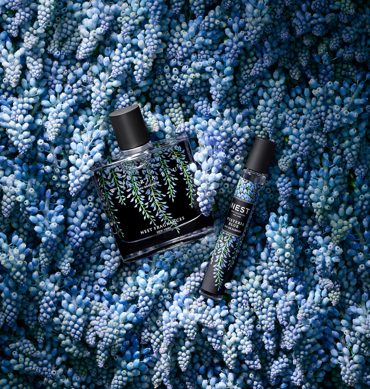 عطر ادکلن ویستریا بلو نست - Wisteria Blue Nest - بررسی، قیمت و خرید