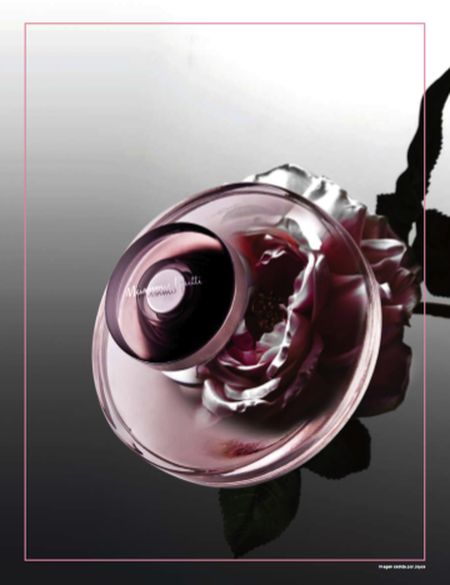 عطر ادکلن ان اسانسیا ماسیمو دوتی - En Esencia Massimo Dutti - بررسی، قیمت و خرید