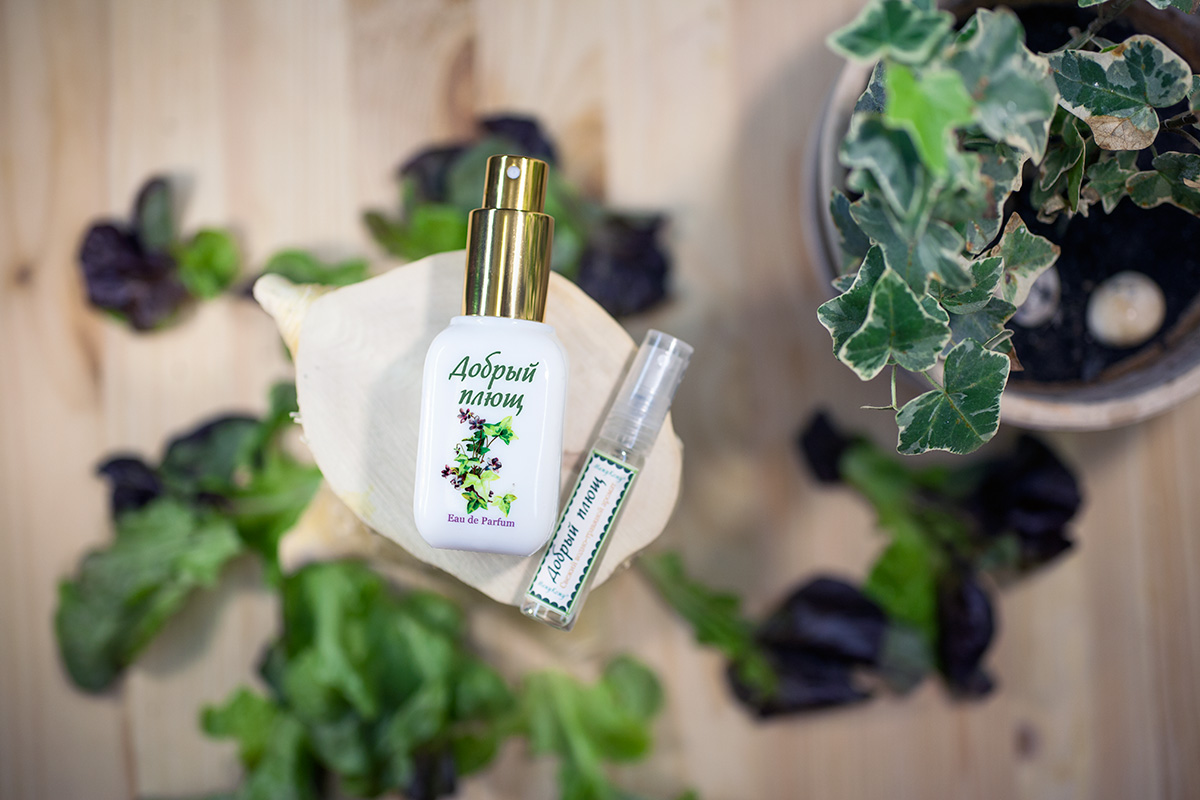 عطر ادکلن مایلد آیوی ماژو کوژو - Mild Ivy (Добрый Плющ) Mazhu Kozhu (Мажу Кожу) - بررسی، قیمت و خرید