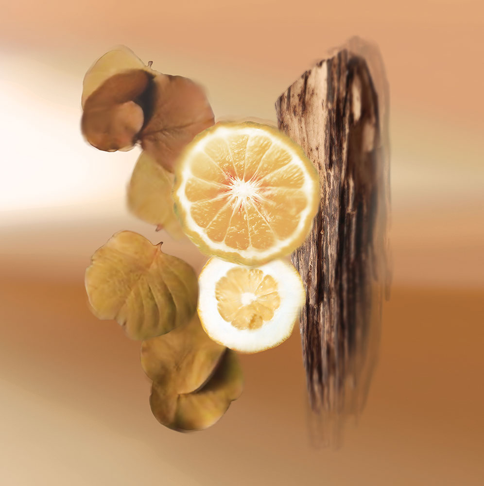 عطر ادکلن اندلس سامر کیکو میچری - Endless Summer Keiko Mecheri - بررسی، قیمت و خرید