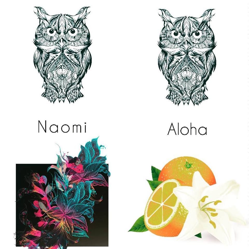 عطر ادکلن آلوها ساپیِنتی نایچ - Aloha Sapientiae Niche - بررسی، قیمت و خرید