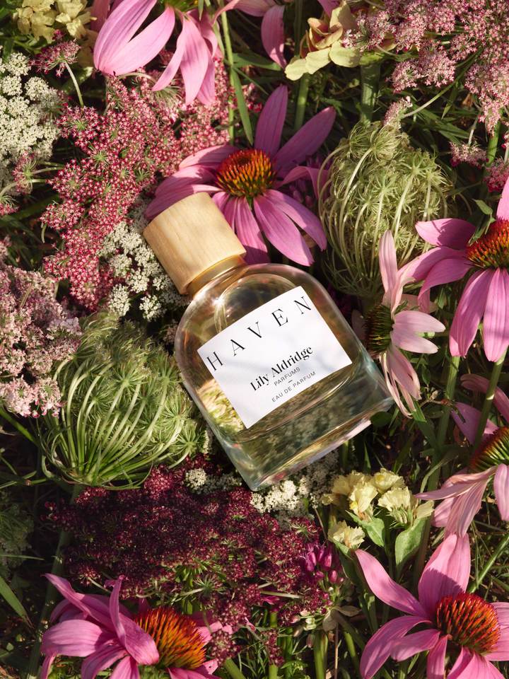 عطر ادکلن هیون لیلی آلدریج - Haven Lily Aldridge - بررسی، قیمت و خرید