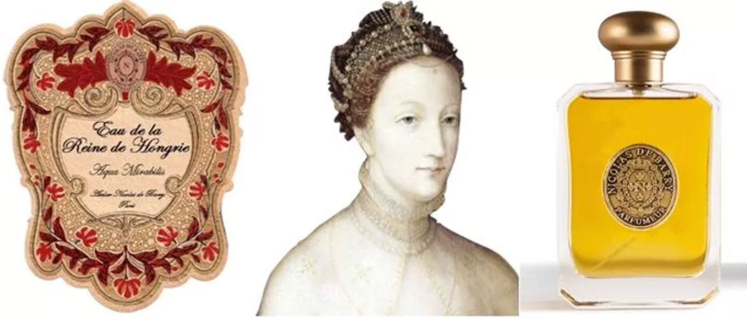 عطر ادکلن اُ دو لا رین دو هانگری میسون نیکلا دو باری - Eau De La Reine De Hongrie Maison Nicolas de Barry - بررسی، قیمت و خرید