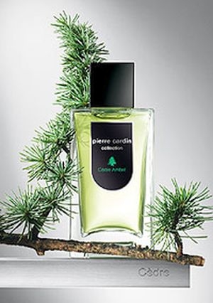 عطر ادکلن پیئر کاردین کالکشن دره-آمبر پیر کاردین - Pierre Cardin Collection Cedre-Ambre Pierre Cardin - بررسی، قیمت و خرید