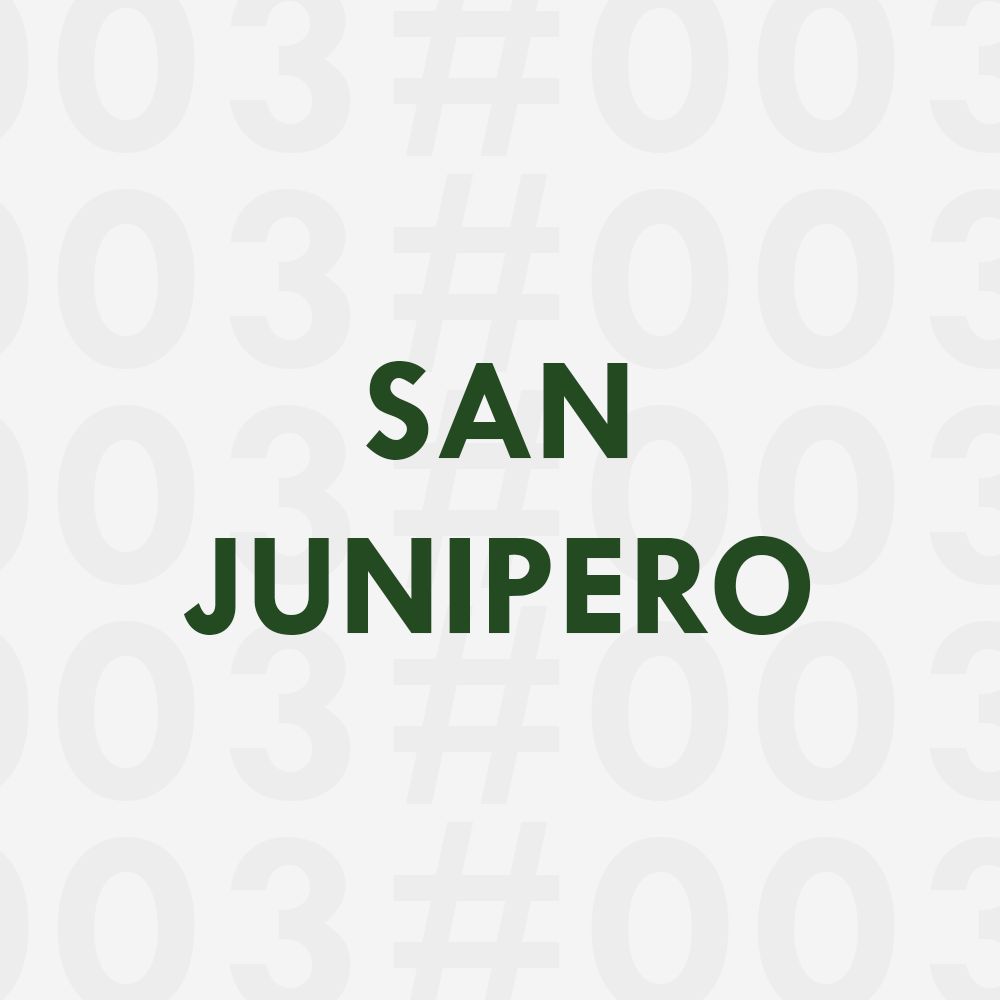 عطر ادکلن سن جونیپرو لنووی پارفوم - #003 San Junipero L’envie Parfums - بررسی، قیمت و خرید