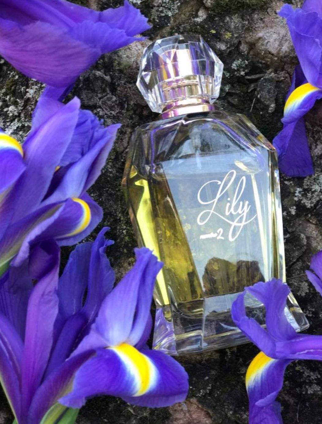 عطر ادکلن لیلی نومرو دو لیلیانا دشام - Lily Numero 2 Liliana Deschamps - بررسی، قیمت و خرید