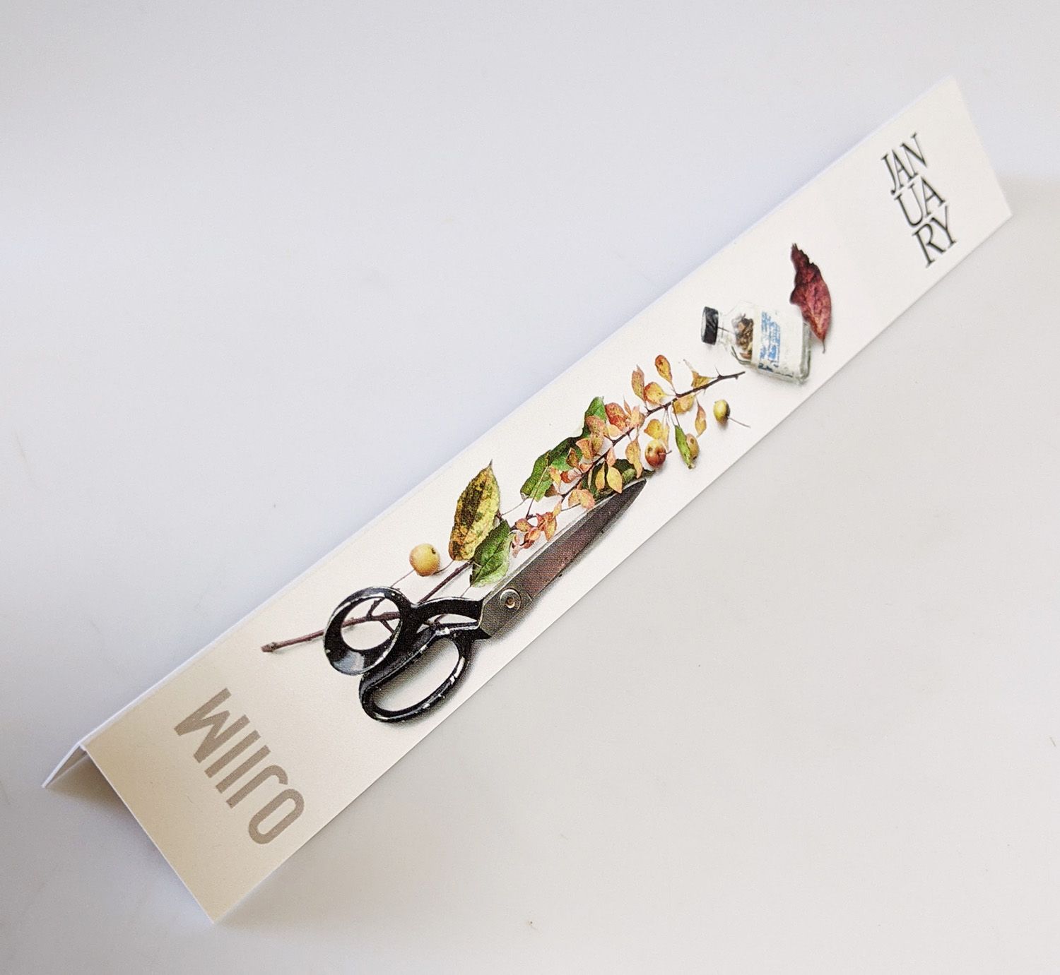 عطر ادکلن اوجیم جنیوری سنت پروژه - Ojiim January Scent Project - بررسی، قیمت و خرید