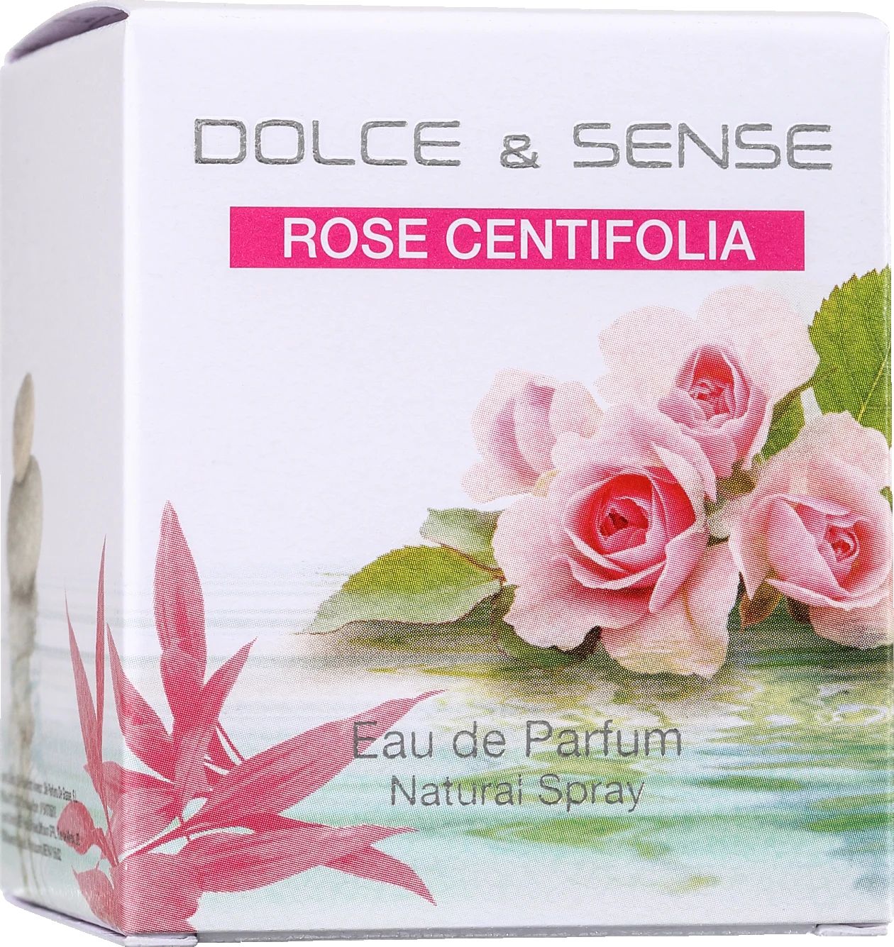عطر ادکلن دولچه اند سنس رز سنتیفولیا پاریس الیزه - Dolce & Sense Rose Centifolia Paris Elysees - بررسی، قیمت و خرید