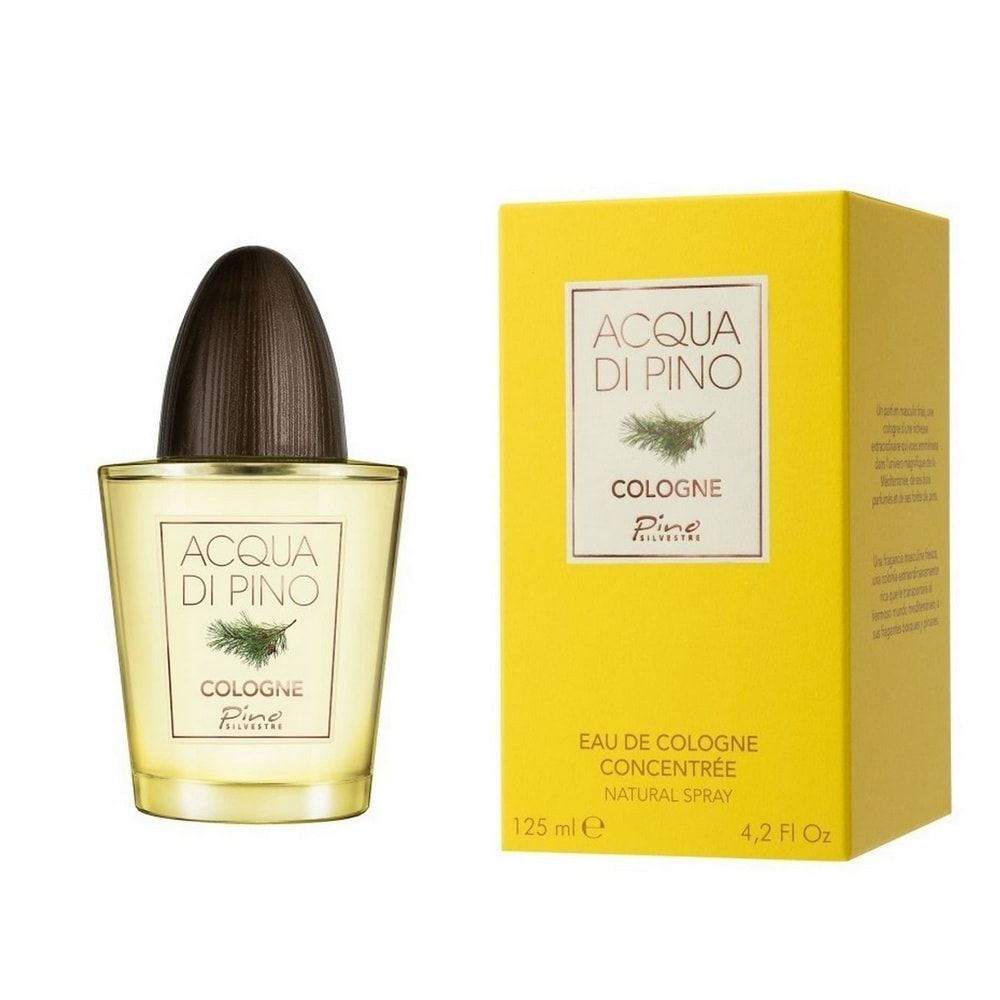 عطر ادکلن آکوا دی پینو کلن پینو سیلوستر - Acqua di Pino Cologne Pino Silvestre - بررسی، قیمت و خرید