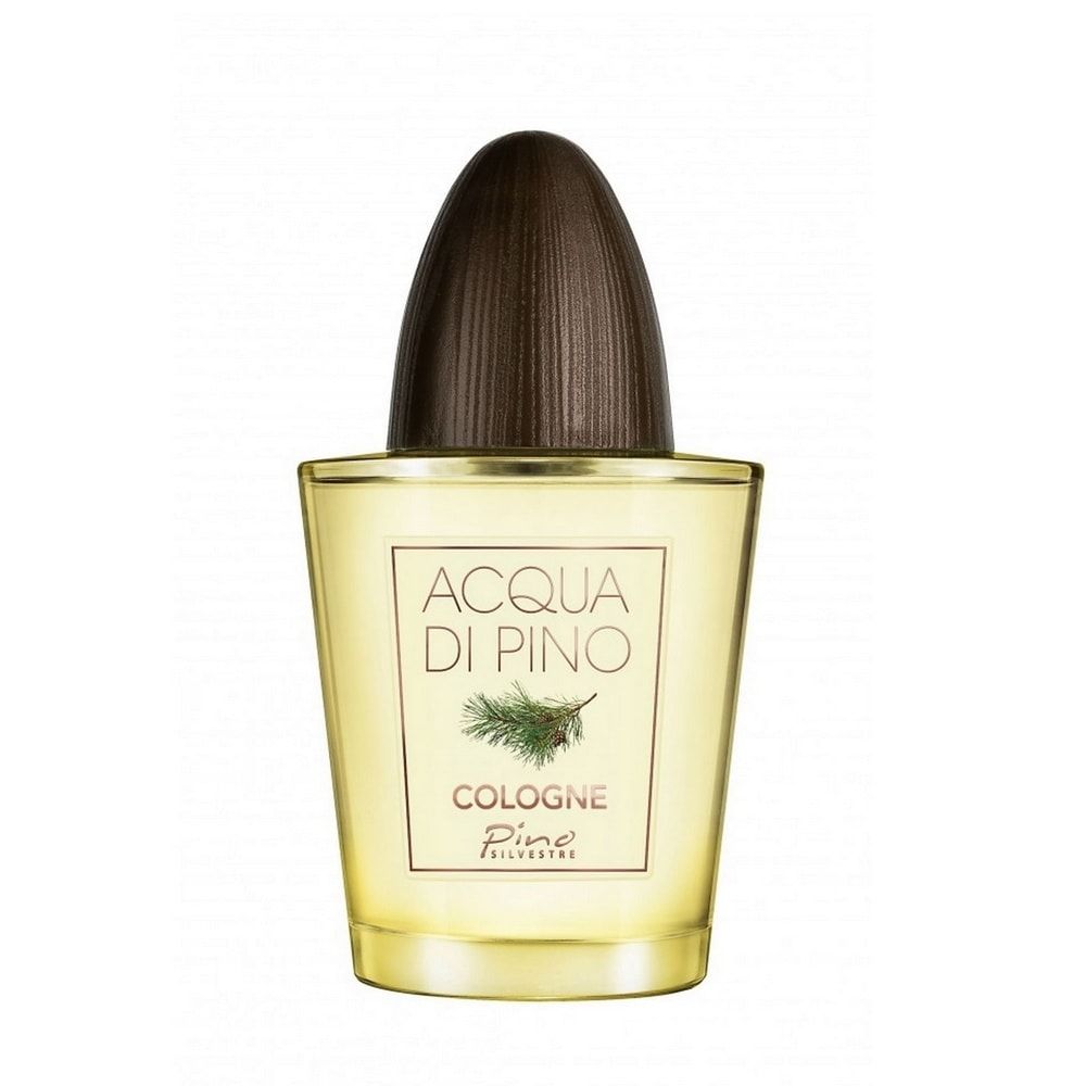 عطر ادکلن آکوا دی پینو کلن پینو سیلوستر - Acqua di Pino Cologne Pino Silvestre - بررسی، قیمت و خرید