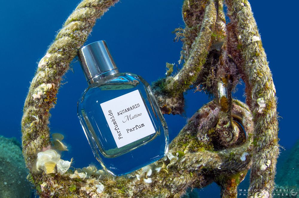 عطر ادکلن آکواماریس ماتینو پرفیوماید - Aquamaris Mattino Parfumeide - بررسی، قیمت و خرید