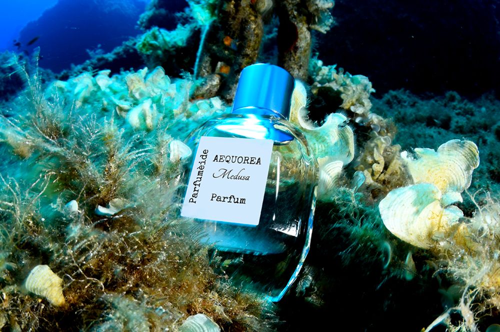 عطر ادکلن آکووریا مدوسا پرفیوماید - Aequorea Medusa Parfumeide - بررسی، قیمت و خرید