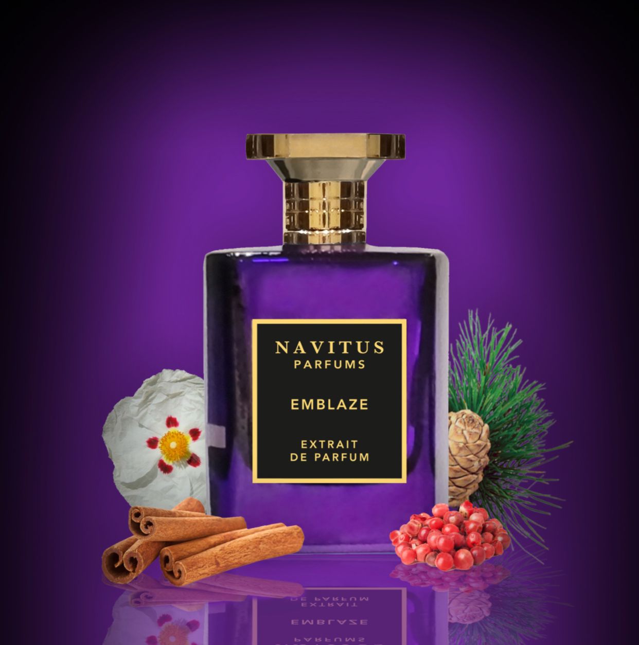 عطر ادکلن امبلیز ناویتوس پرفیومز - Emblaze Navitus Parfums - بررسی، قیمت و خرید