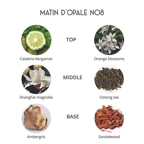 عطر ادکلن متین دوپال پرفیوم د فلوویل - Matin D'Opale Parfums de Folleville - بررسی، قیمت و خرید