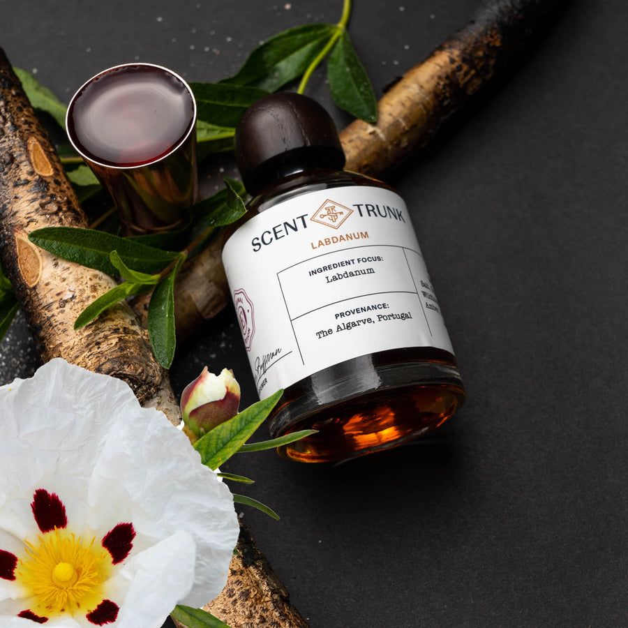 عطر ادکلن لابدانیوم سنت ترانک - Labdanum Scent Trunk - بررسی، قیمت و خرید