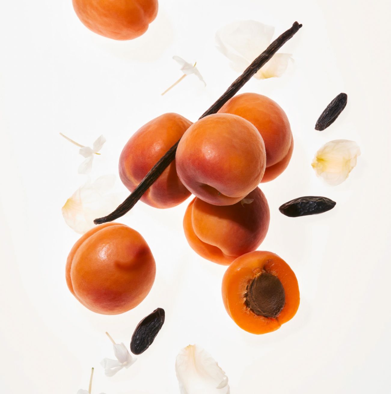 عطر ادکلن اپریکات پریوه فلور - Apricot Privee Phlur - بررسی، قیمت و خرید