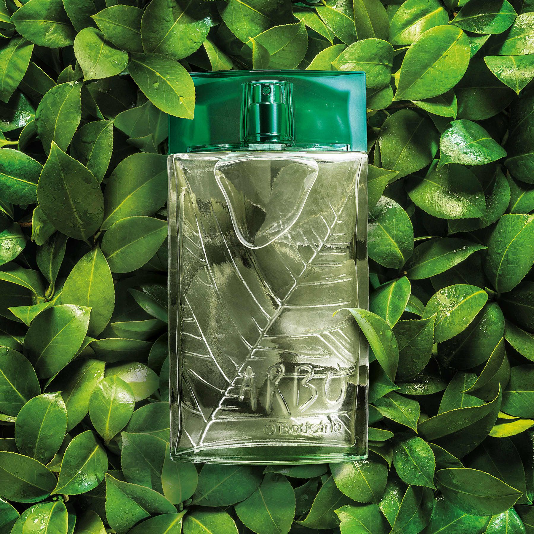 عطر ادکلن آربو اوبوتیکاریو - Arbo O Boticário - بررسی، قیمت و خرید