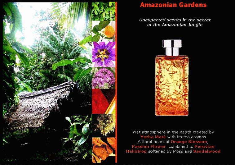 عطر ادکلن آمازونین گاردنز نیکلاس دانیلا - Amazonian Gardens Nicolas Danila - بررسی، قیمت و خرید