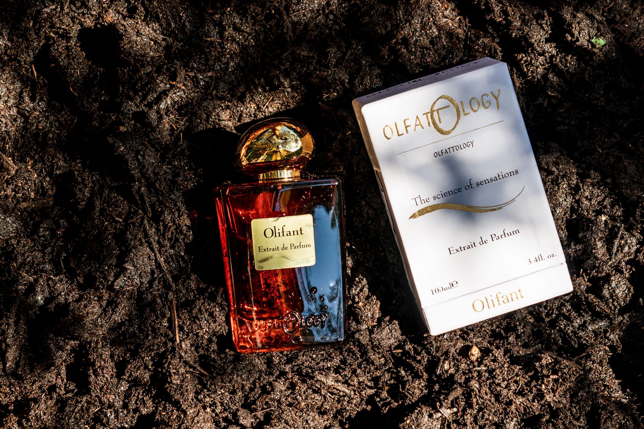 عطر ادکلن اولیفانت اولفتولوژی - Olifant Olfattology - بررسی، قیمت و خرید