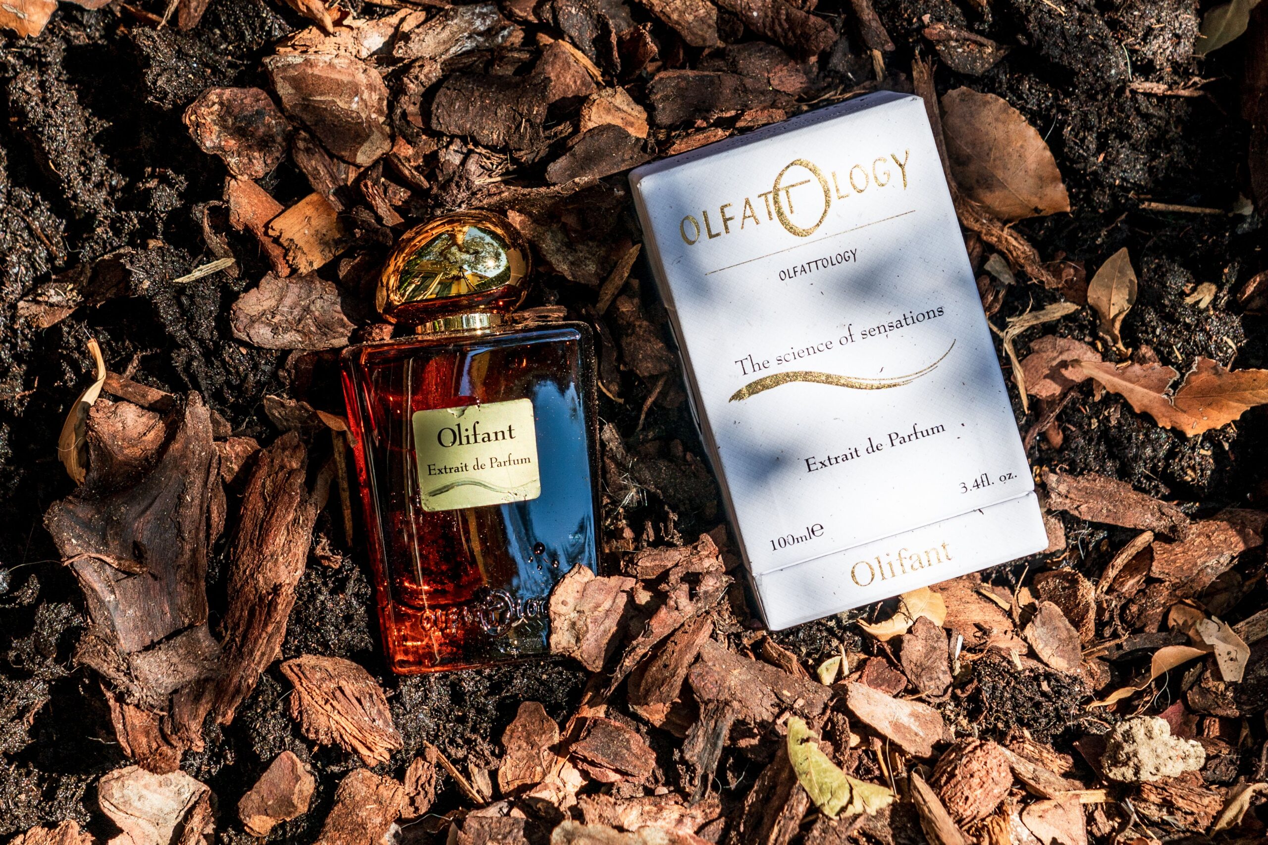 عطر ادکلن اولیفانت اولفتولوژی - Olifant Olfattology - بررسی، قیمت و خرید
