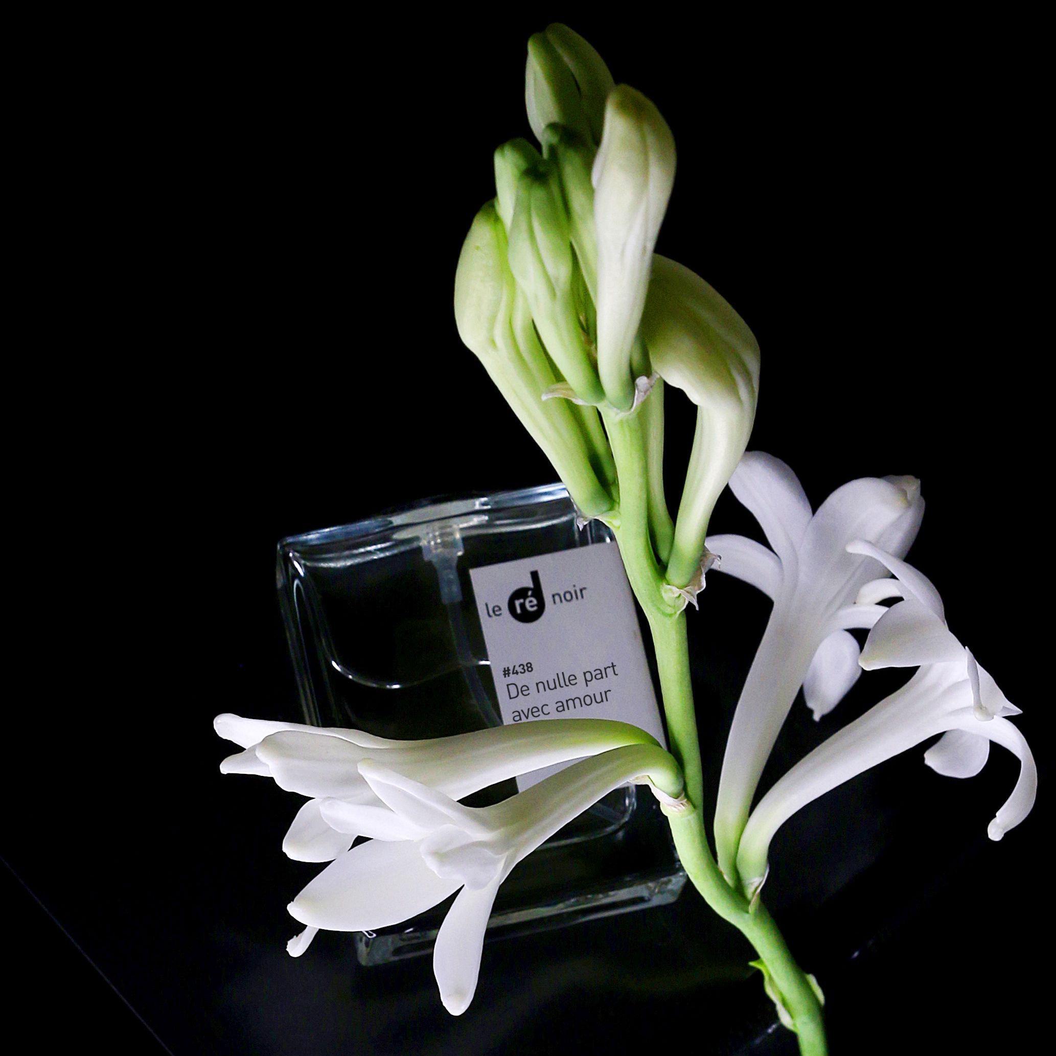 عطر ادکلن #438 دی نول پار اوه آموغ لوقه نواغ - #438 De nulle part avec amour Le Ré Noir - بررسی، قیمت و خرید