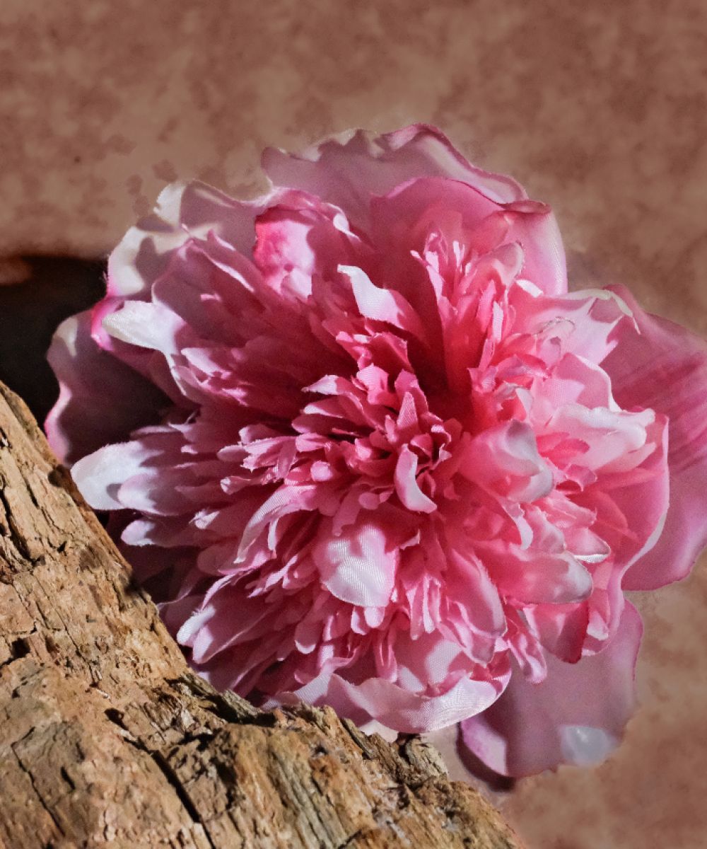 عطر ادکلن اود بریتیش مایسا پرفیومز - Oud British Maïssa Parfums - بررسی، قیمت و خرید