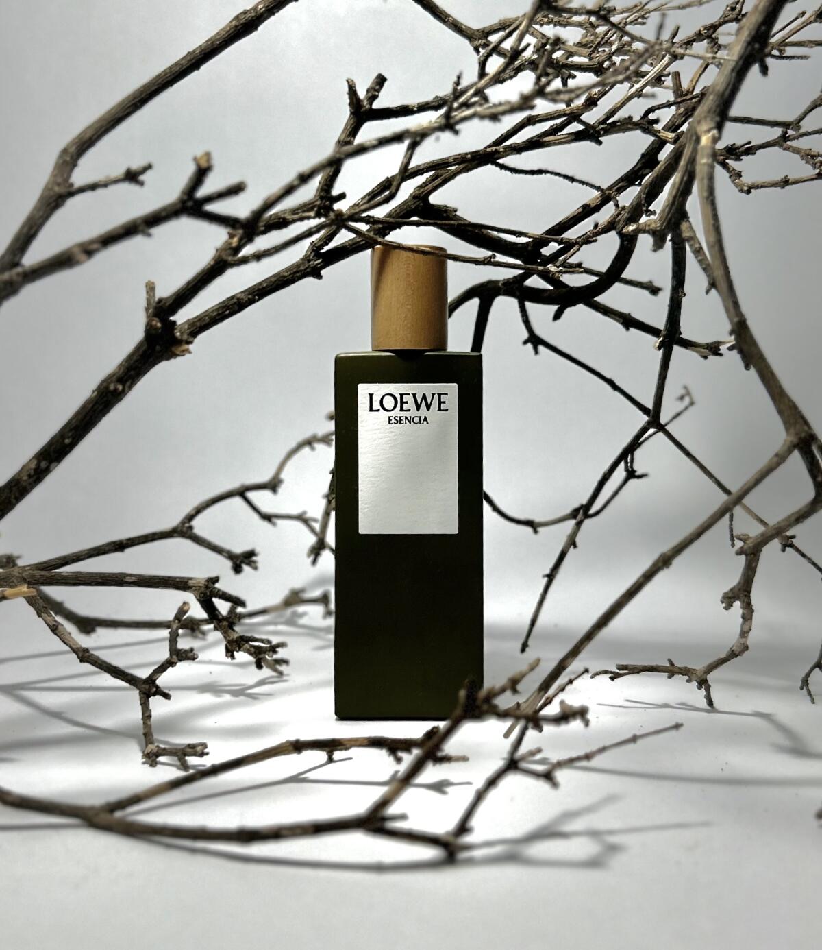 عطر ادکلن اسنسیا پور هوم لووه - Esencia pour Homme Loewe - بررسی، قیمت و خرید