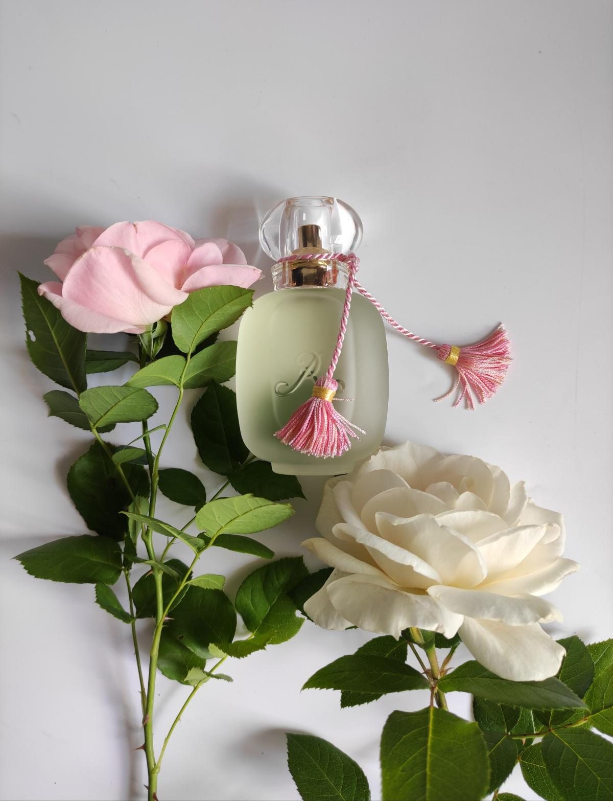 عطر ادکلن لوتوس رز له پارفم دو روزین - Lotus Rose Les Parfums de Rosine - بررسی، قیمت و خرید