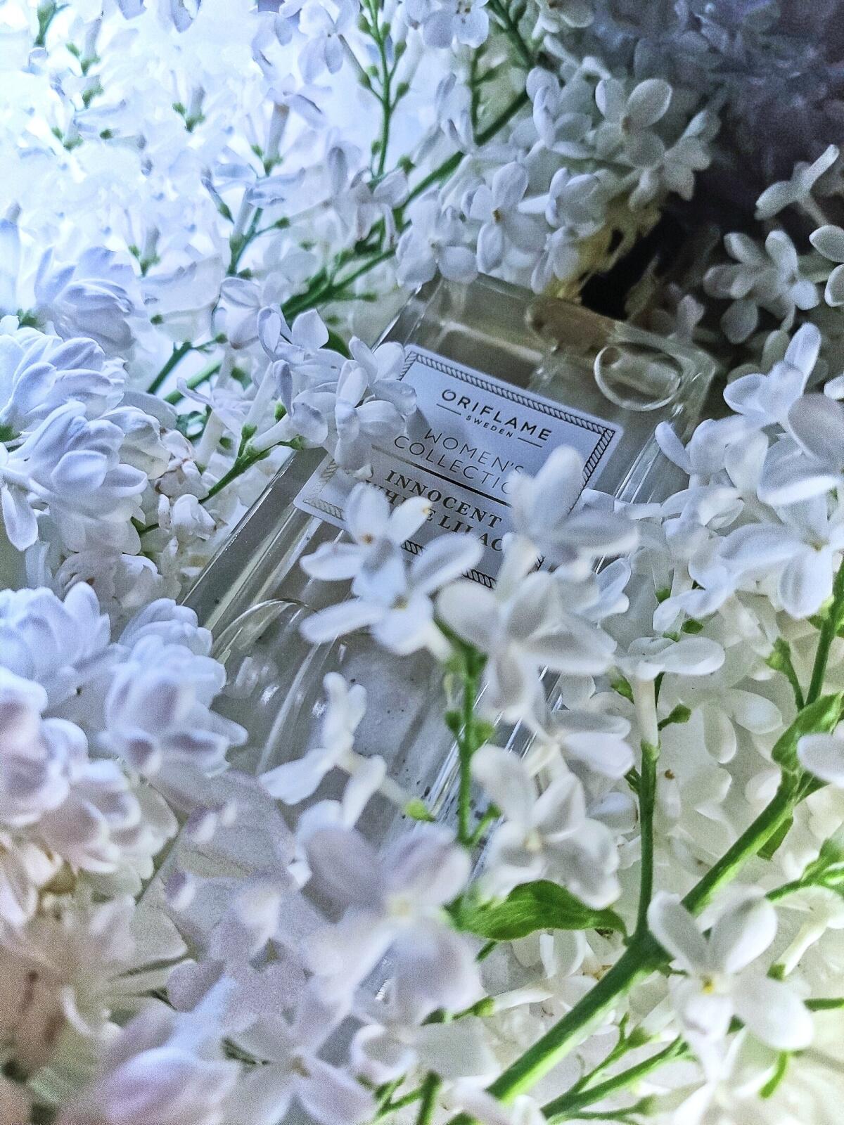 عطر ادکلن اینسنت وایت لیلک اوریفلیم - Innocent White Lilac Oriflame - بررسی، قیمت و خرید