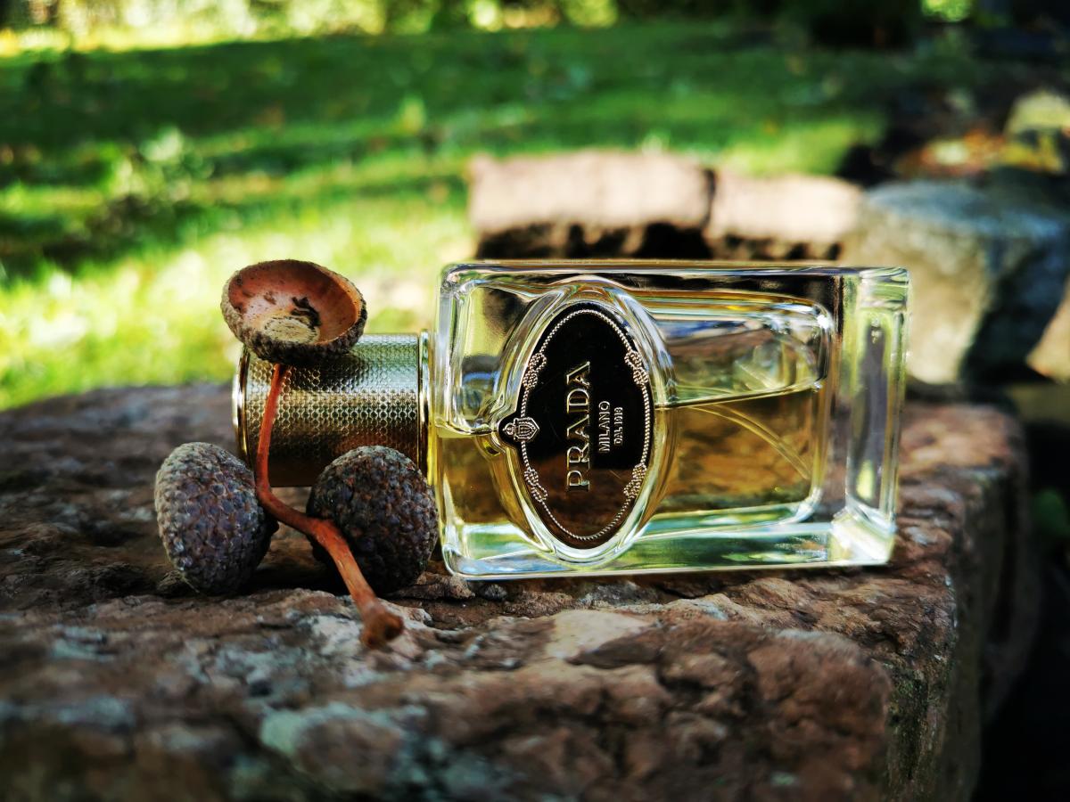 عطر ادکلن اینفیوژن دی آیریس او دو پارفوم ابسولو پِرادا - Infusion d'Iris Eau de Parfum Absolue Prada - بررسی، قیمت و خرید