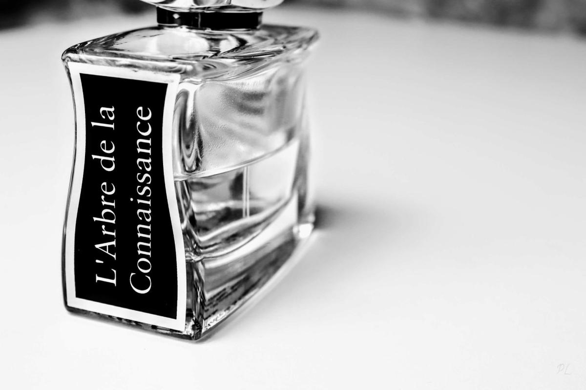 عطر ادکلن لاربغ دو لا کْونِسانس جووی پاریس - L’Arbre de la Connaissance Jovoy Paris - بررسی، قیمت و خرید