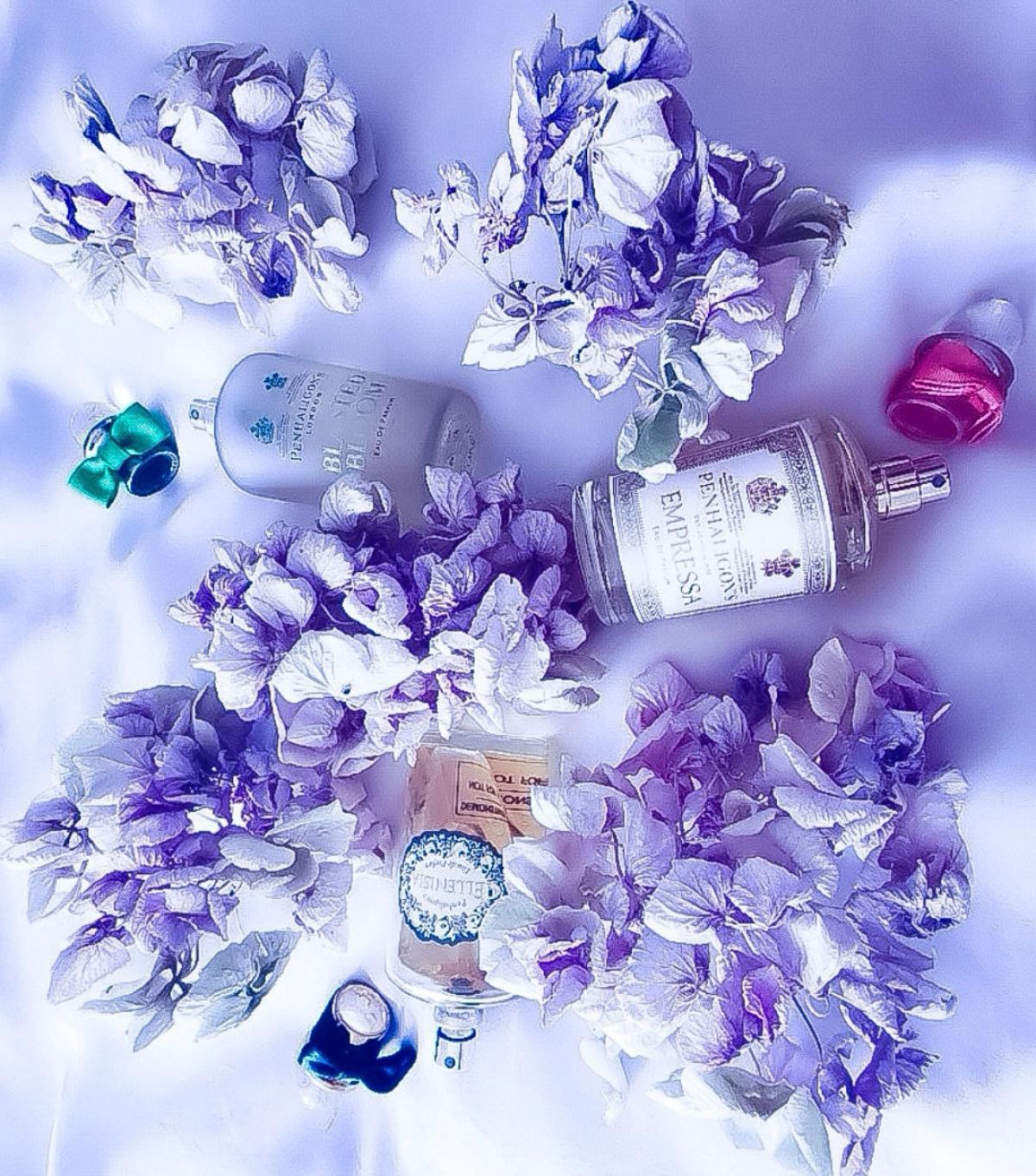 عطر ادکلن امپرسا او دو پارفوم پنهالیگونز - Empressa Eau de Parfum Penhaligon's - بررسی، قیمت و خرید