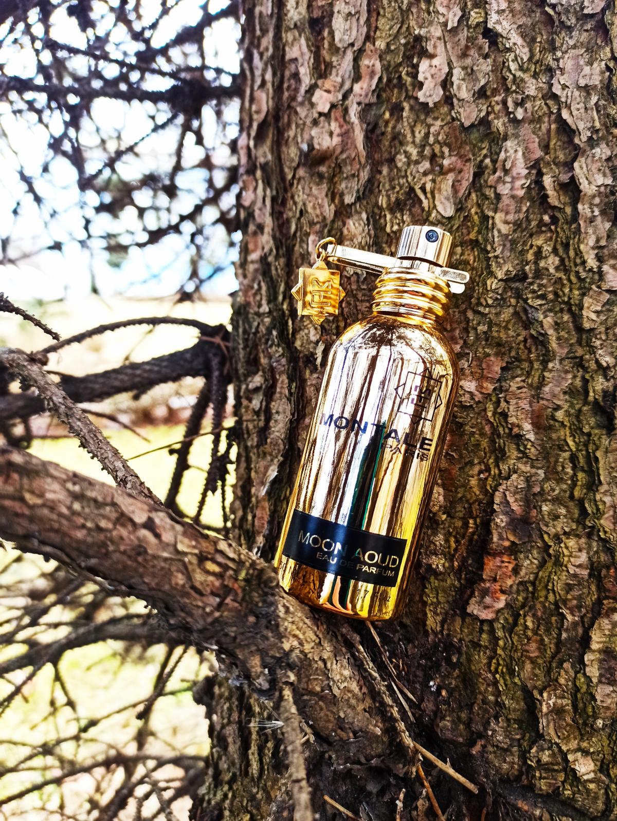 عطر ادکلن مون آود مانتال - Moon Aoud Montale - بررسی، قیمت و خرید