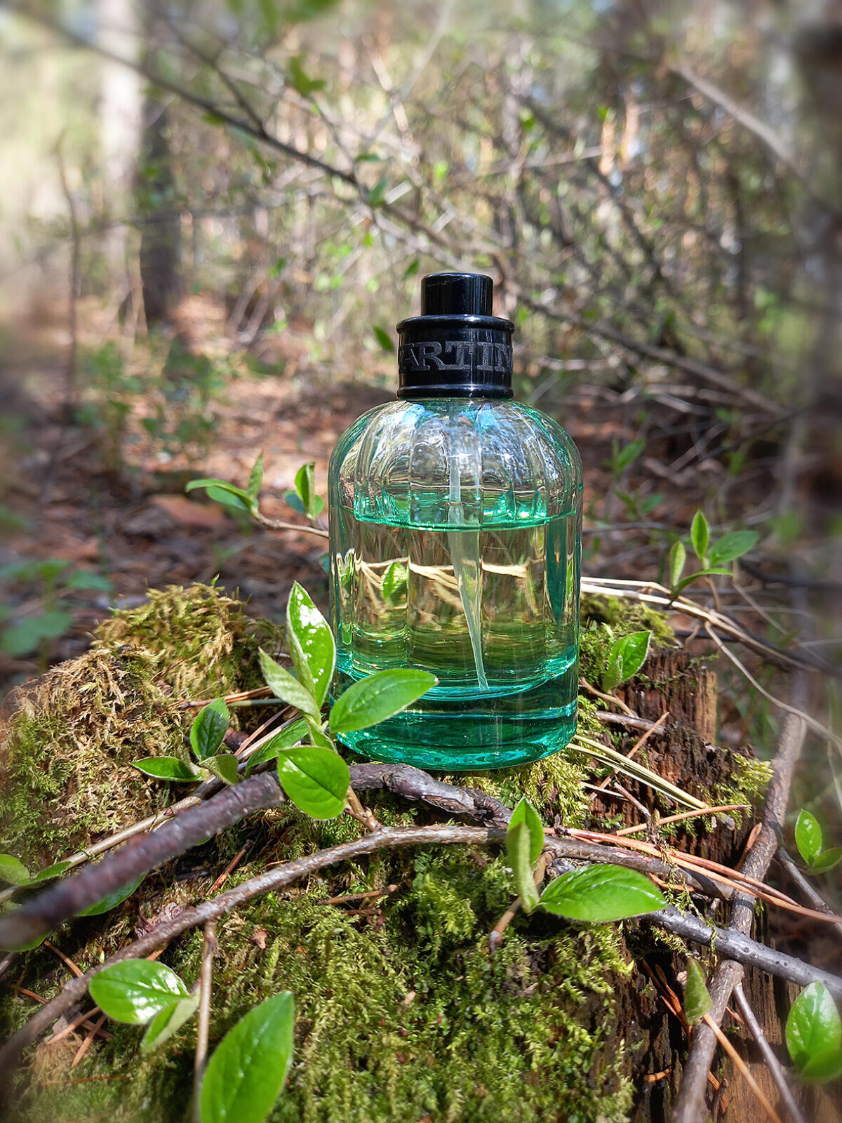 عطر ادکلن آلفا وودز لا مارتینا - Alpha Woods La Martina - بررسی، قیمت و خرید