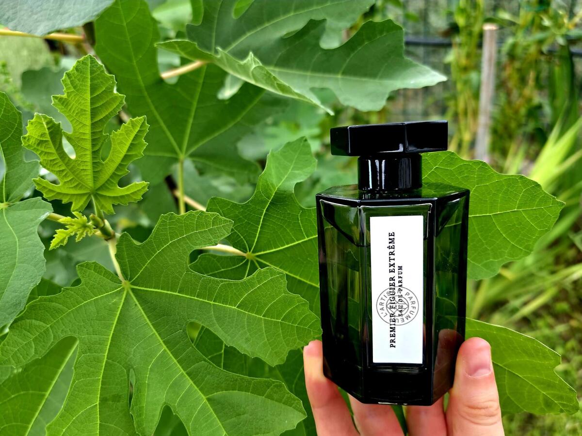 عطر ادکلن پرمیر فیگور اکستریم لرتیزان پارفومر - Premier Figuier Extreme L'Artisan Parfumeur - بررسی، قیمت و خرید