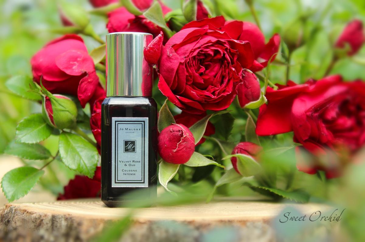 عطر ادکلن ولوت رز اند عود جو مالون لندن - Velvet Rose & Oud Jo Malone London - بررسی، قیمت و خرید