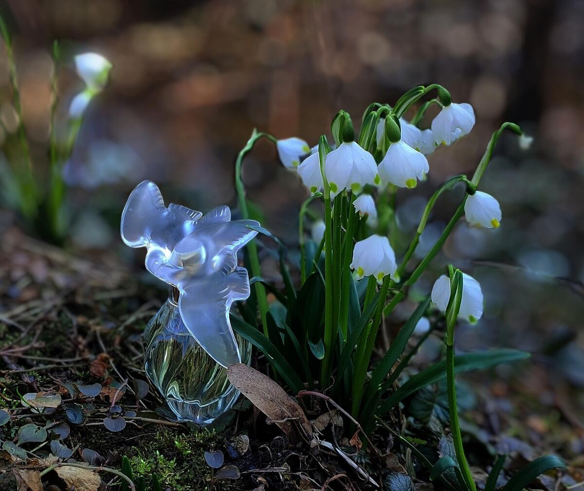 عطر ادکلن ل ایر دو تمو نینا ریچی - L'Air du Temps Eau de Parfum Nina Ricci - بررسی، قیمت و خرید