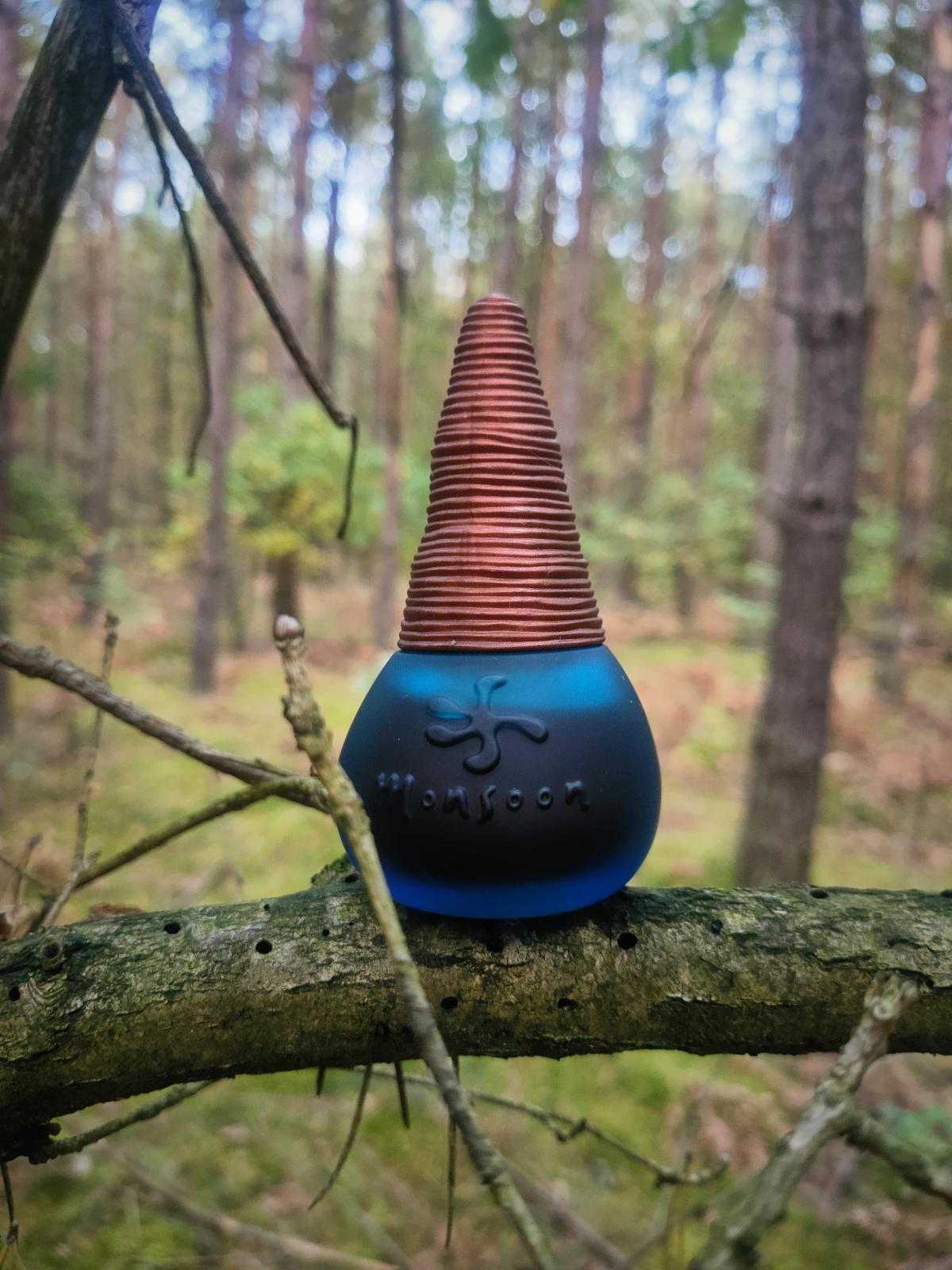 عطر ادکلن مانسون مانسون - Monsoon (original) Monsoon - بررسی، قیمت و خرید