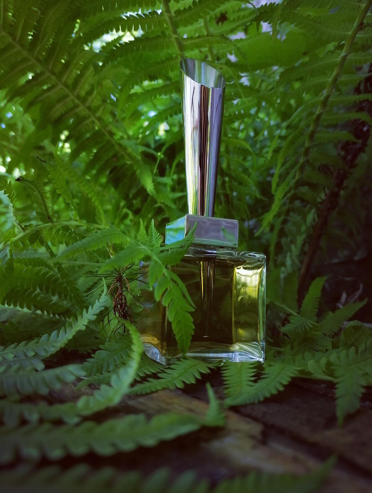 عطر ادکلن فوژر فوریوس ماگلر - Fougere Furieuse Mugler - بررسی، قیمت و خرید