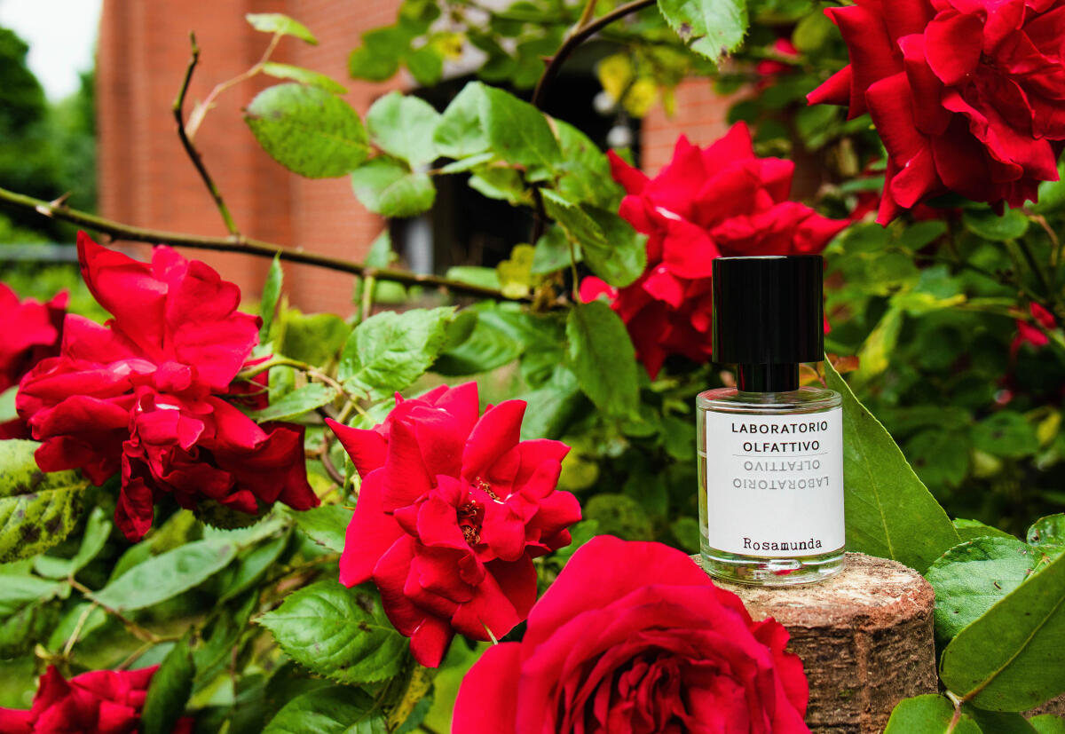 عطر ادکلن روزاموندا لابوراتوریو اولفاتیوو - Rosamunda Laboratorio Olfattivo - بررسی، قیمت و خرید