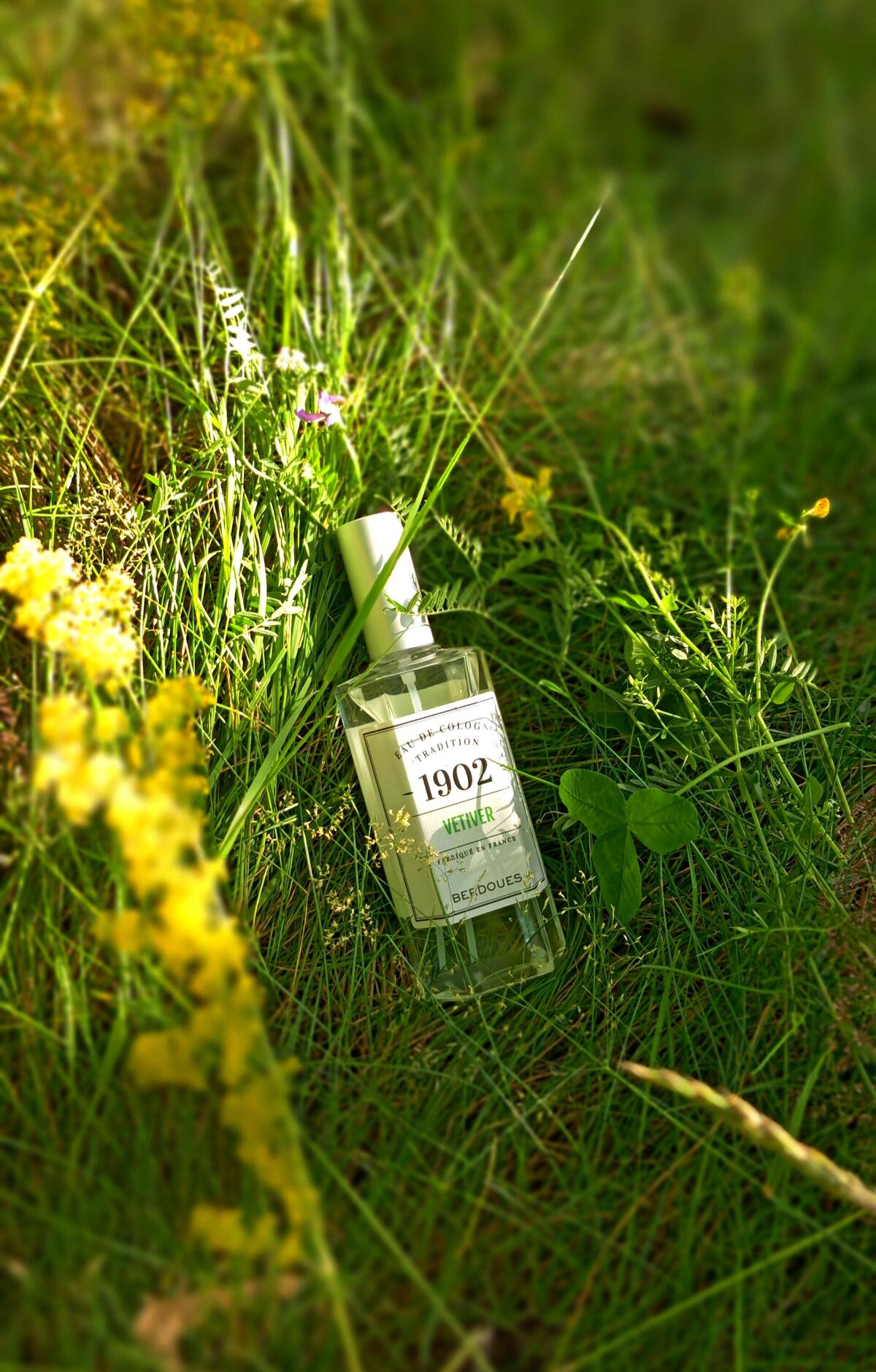 عطر ادکلن نوزده دو وتیور پرفیومز بردوس - 1902 Vetiver Parfums Berdoues - بررسی، قیمت و خرید