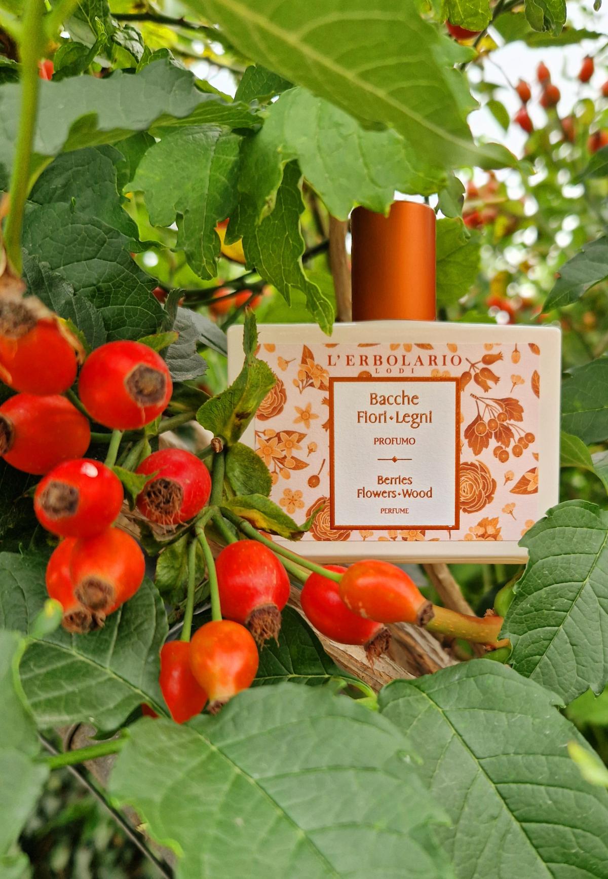 عطر ادکلن بری فلورز وود لربولاریو - Berries Flowers Wood - Bacche Fiori Legni L'Erbolario - بررسی، قیمت و خرید