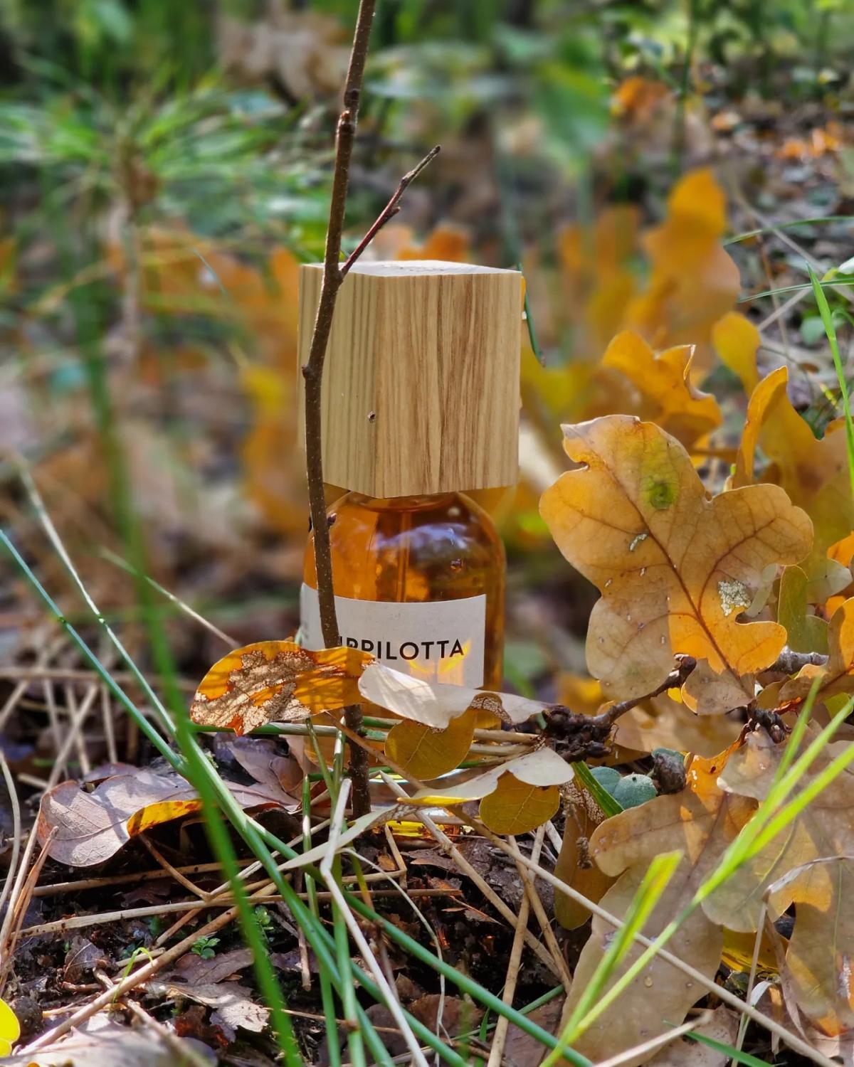 عطر ادکلن پیپیلوته له فرگ - Pippilotta Le Frag - بررسی، قیمت و خرید