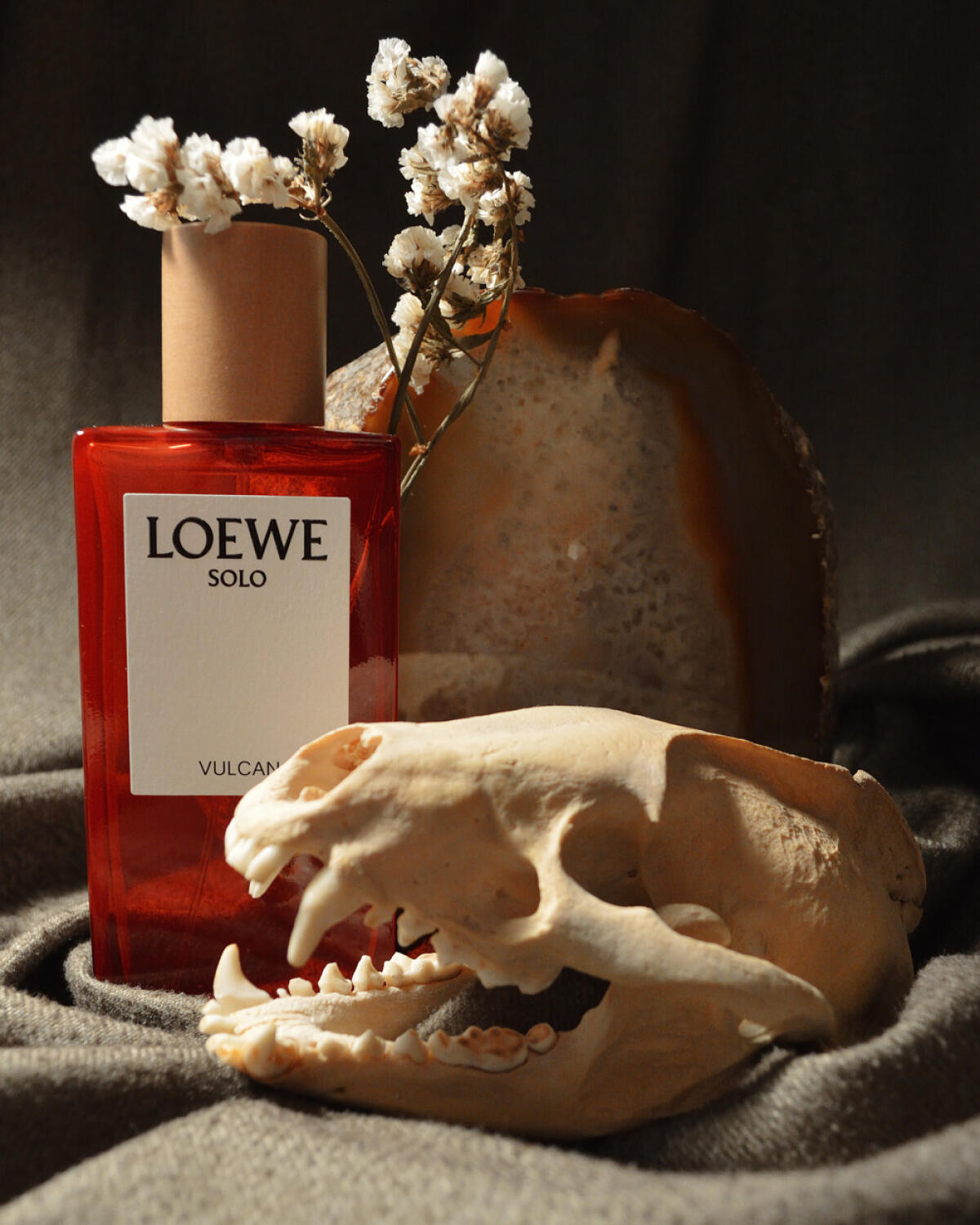 عطر ادکلن سولو ولکان لووه - Solo Vulcan Loewe - بررسی، قیمت و خرید