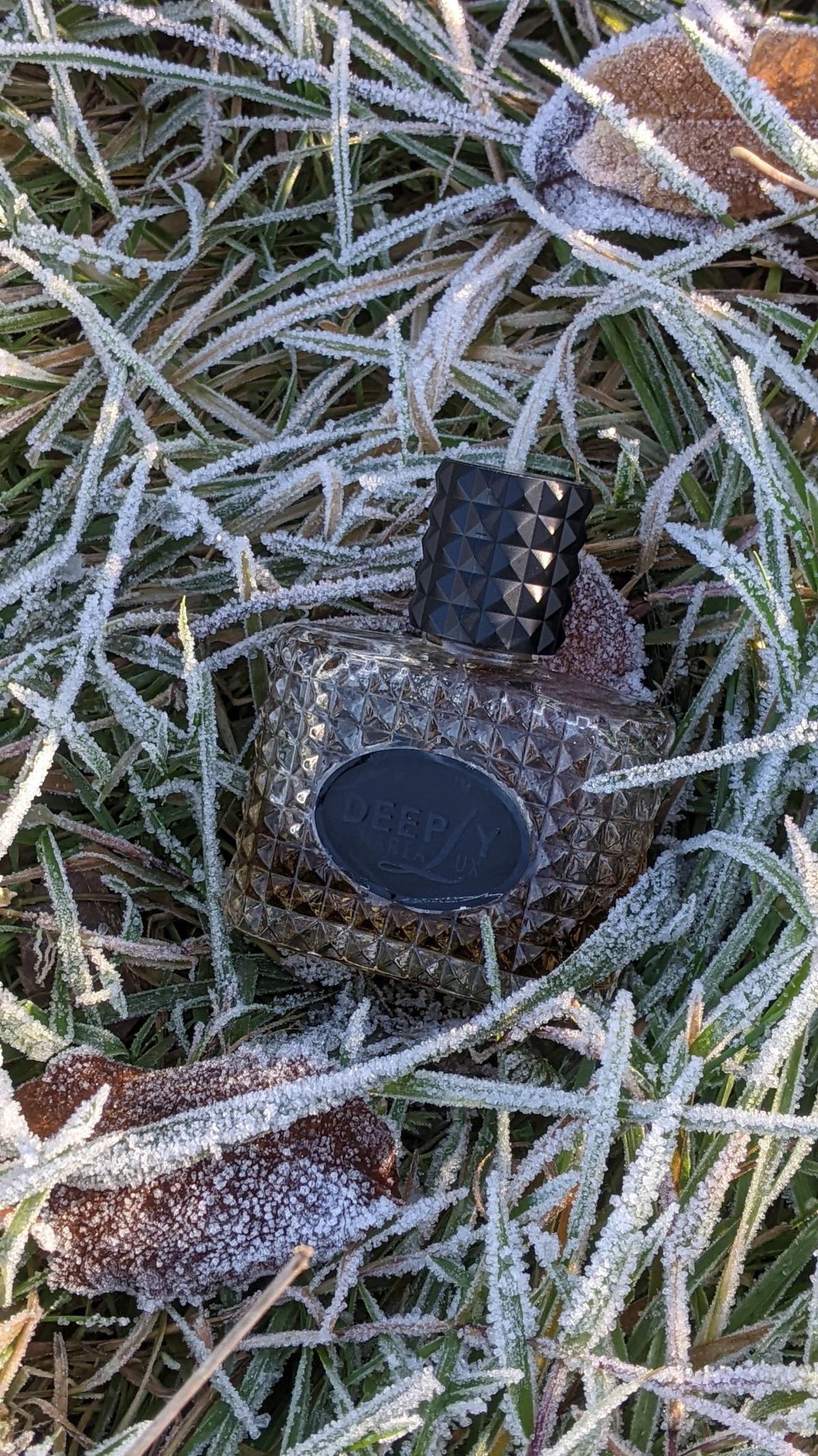 عطر ادکلن دیپلی ماریا لوکس - Deeply MariaLux - بررسی، قیمت و خرید