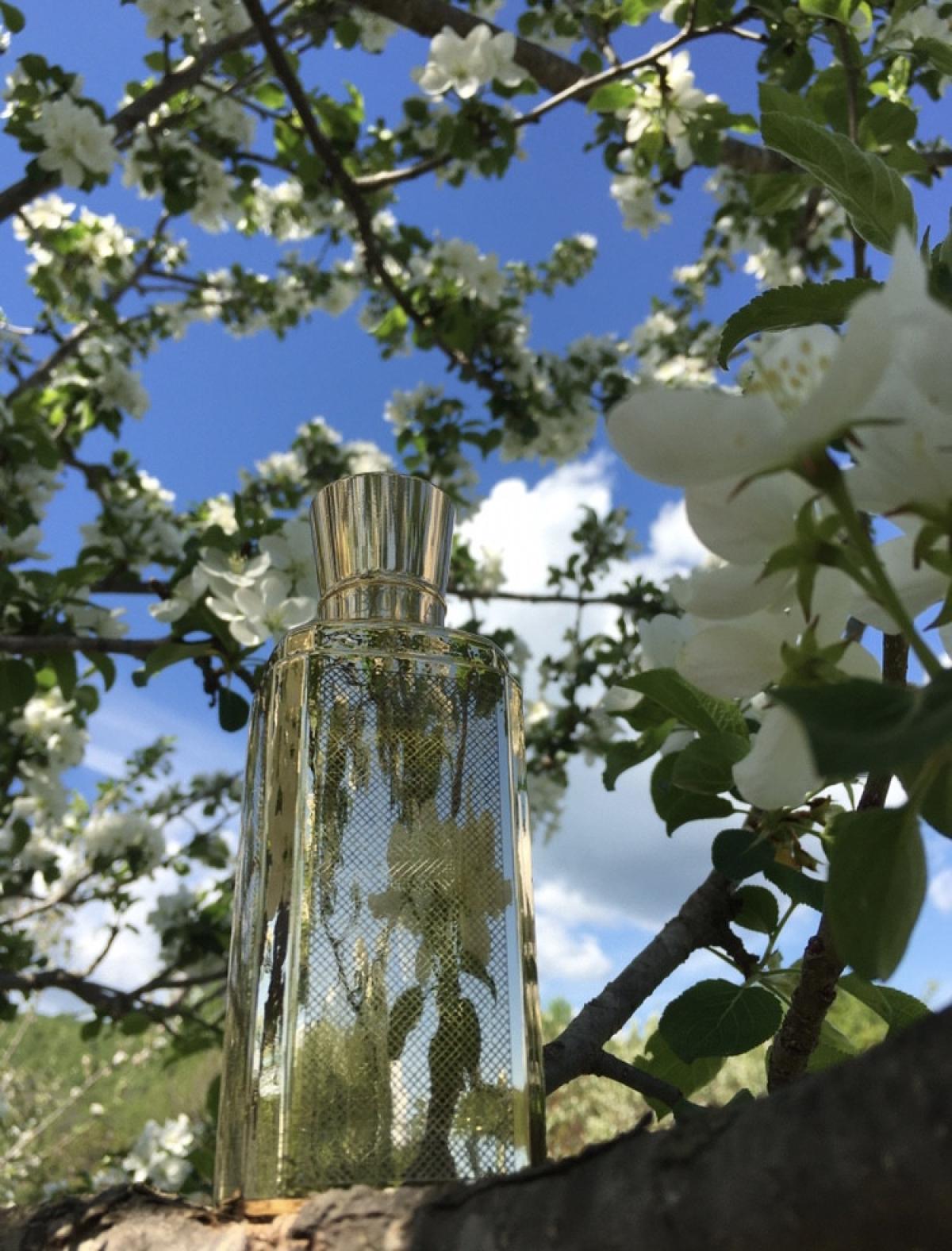 عطر ادکلن لوبوگال پور ال لوبوگال - Lobogal Pour Elle Lobogal - بررسی، قیمت و خرید