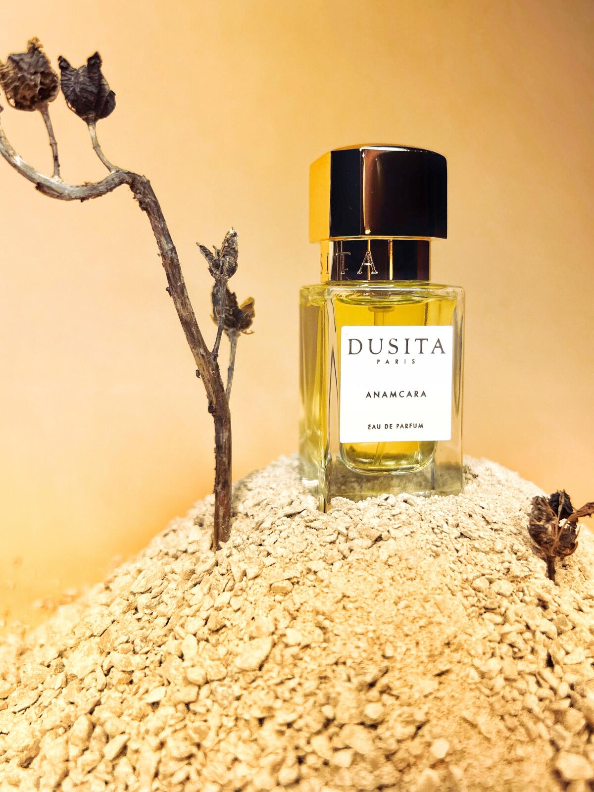 عطر ادکلن آنَمکارا پرفیومز دوسیتا - Anamcara Parfums Dusita - بررسی، قیمت و خرید