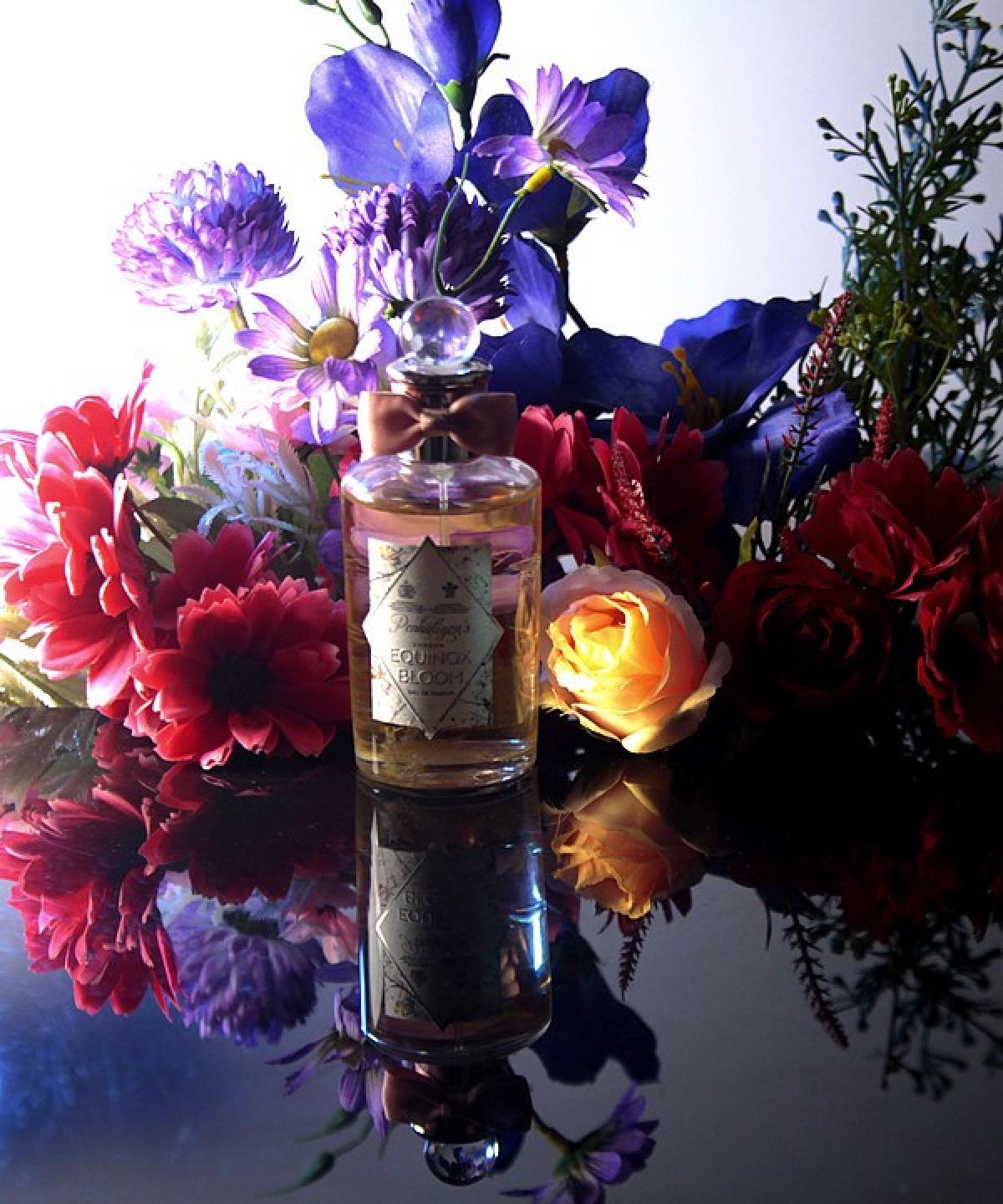 عطر ادکلن ایکوی‌ناکس بلوم پنالیگونز - Equinox Bloom Penhaligon's - بررسی، قیمت و خرید