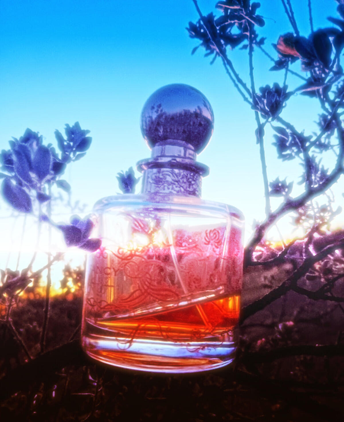 عطر ادکلن فَنسی جسیکا سیمپسون - Fancy Jessica Simpson - بررسی، قیمت و خرید