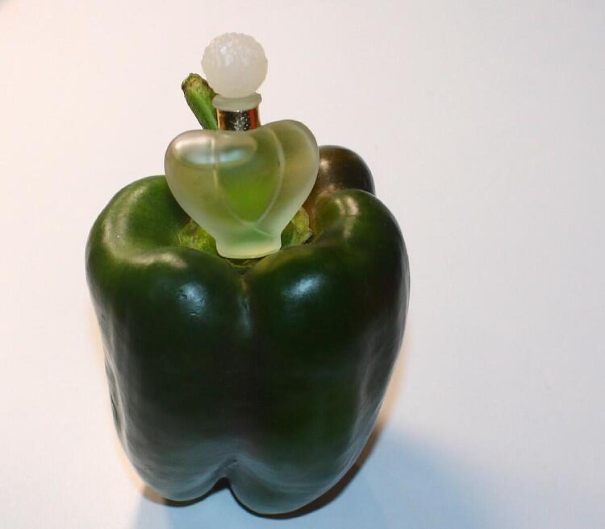 عطر ادکلن فروش نینا ریچی - Farouche Nina Ricci - بررسی، قیمت و خرید